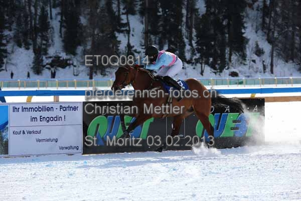ET0Q0814 prot